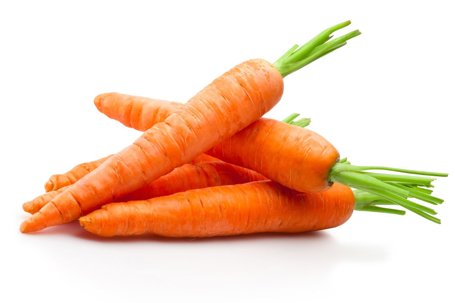 Carrots 